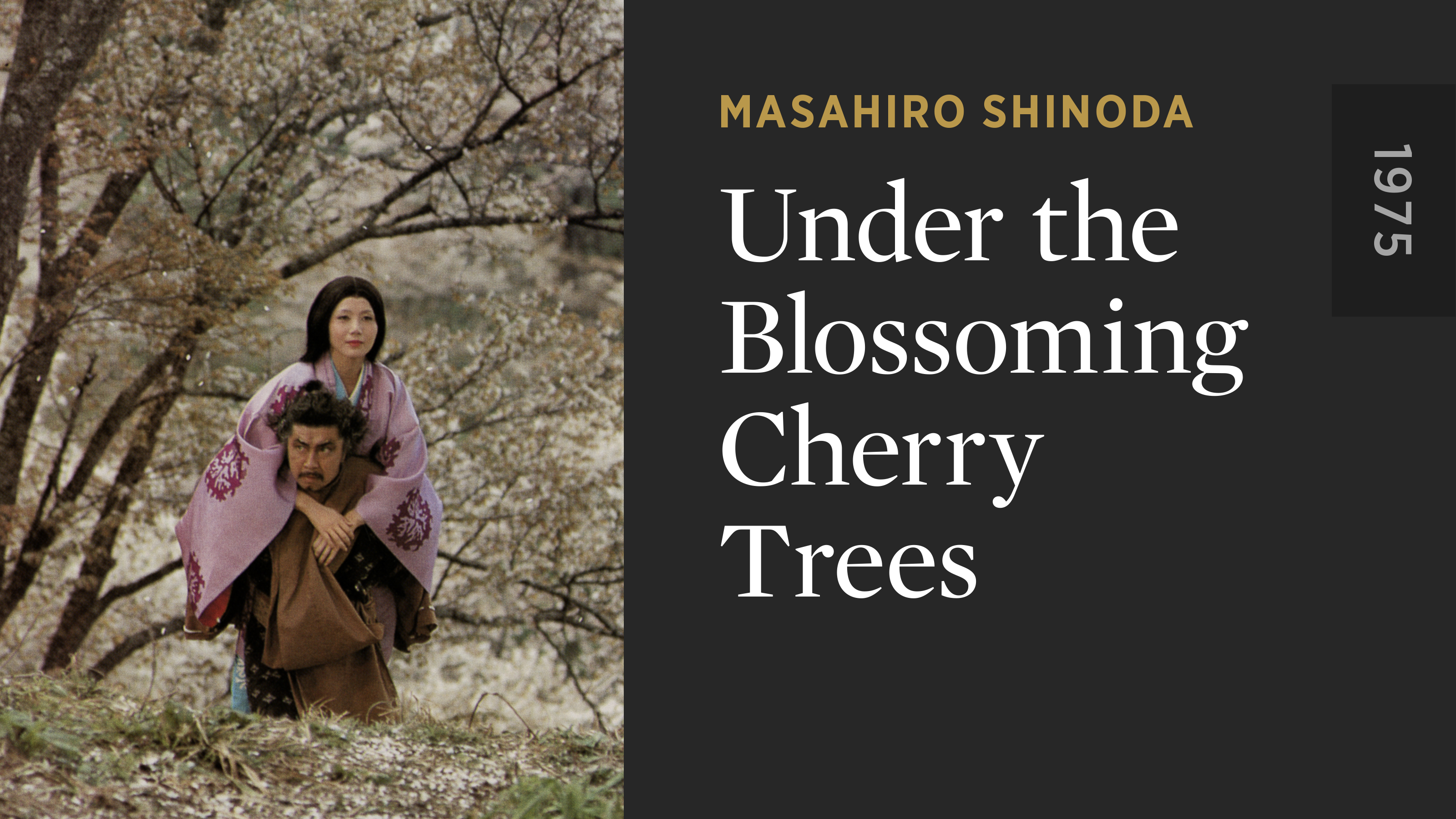Under the Blossoming Cherry Trees
