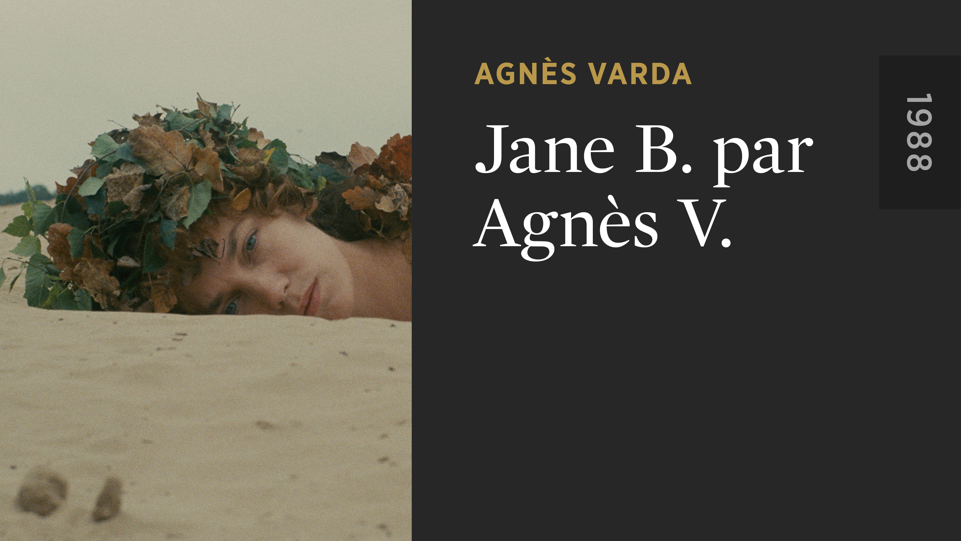 Jane B. Par Agnès V. - The Criterion Channel