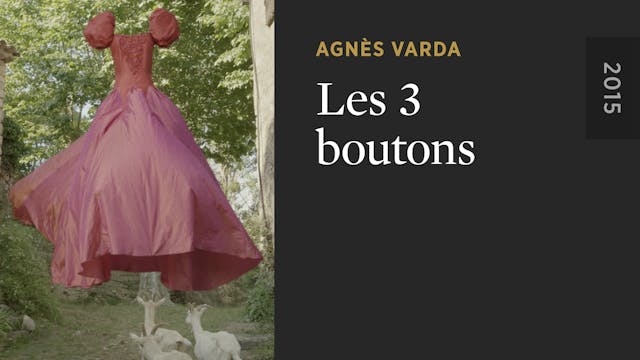 Les 3 boutons