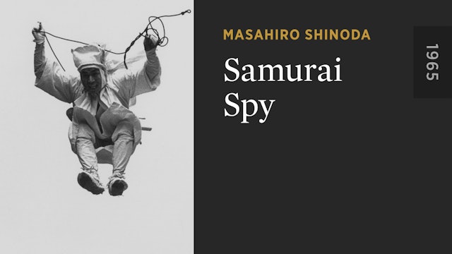 Samurai Spy