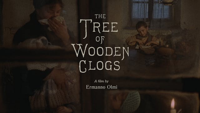 THE TREE OF WOODEN CLOGS Edition Intro