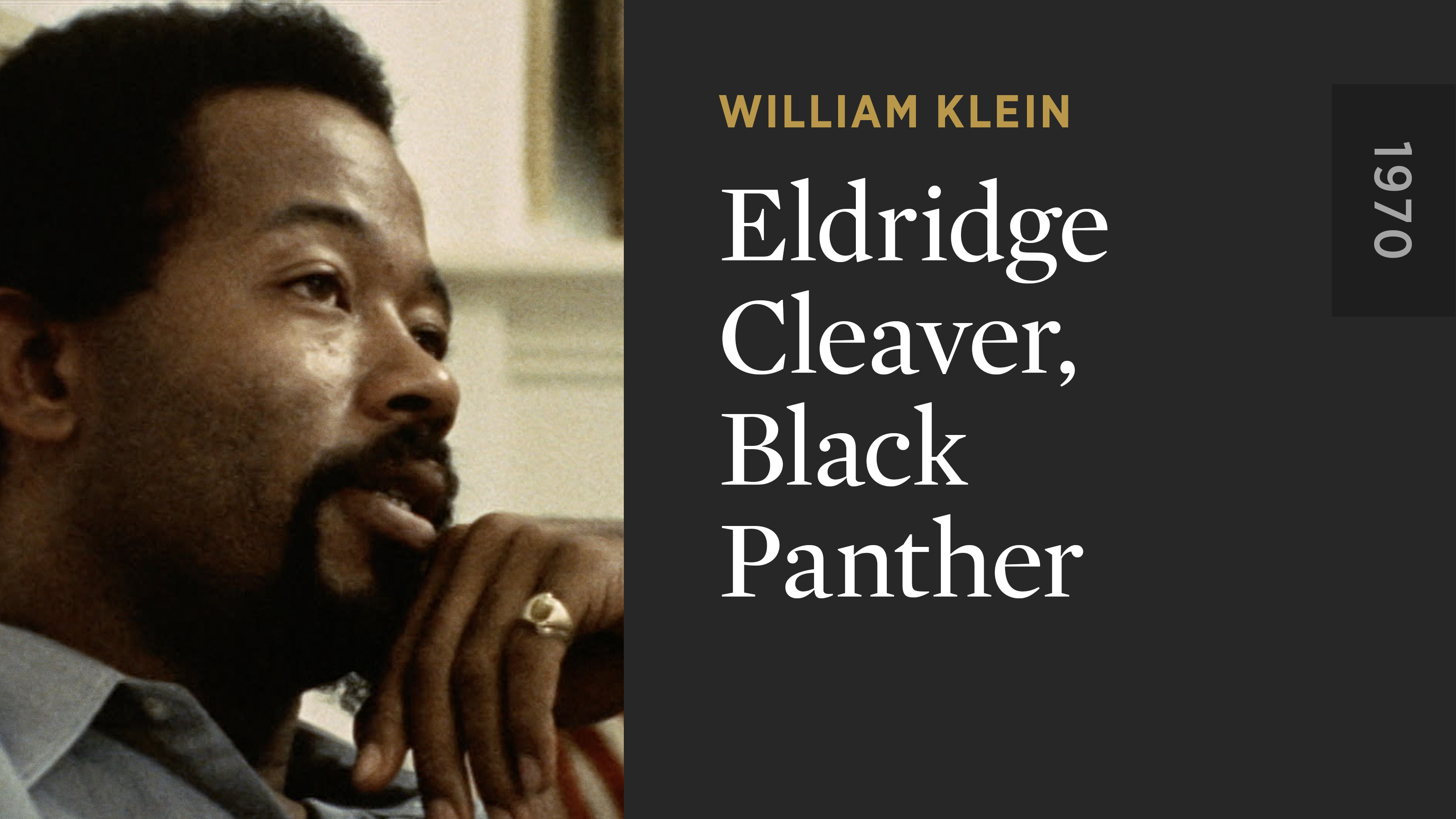 Eldridge Cleaver, Black Panther