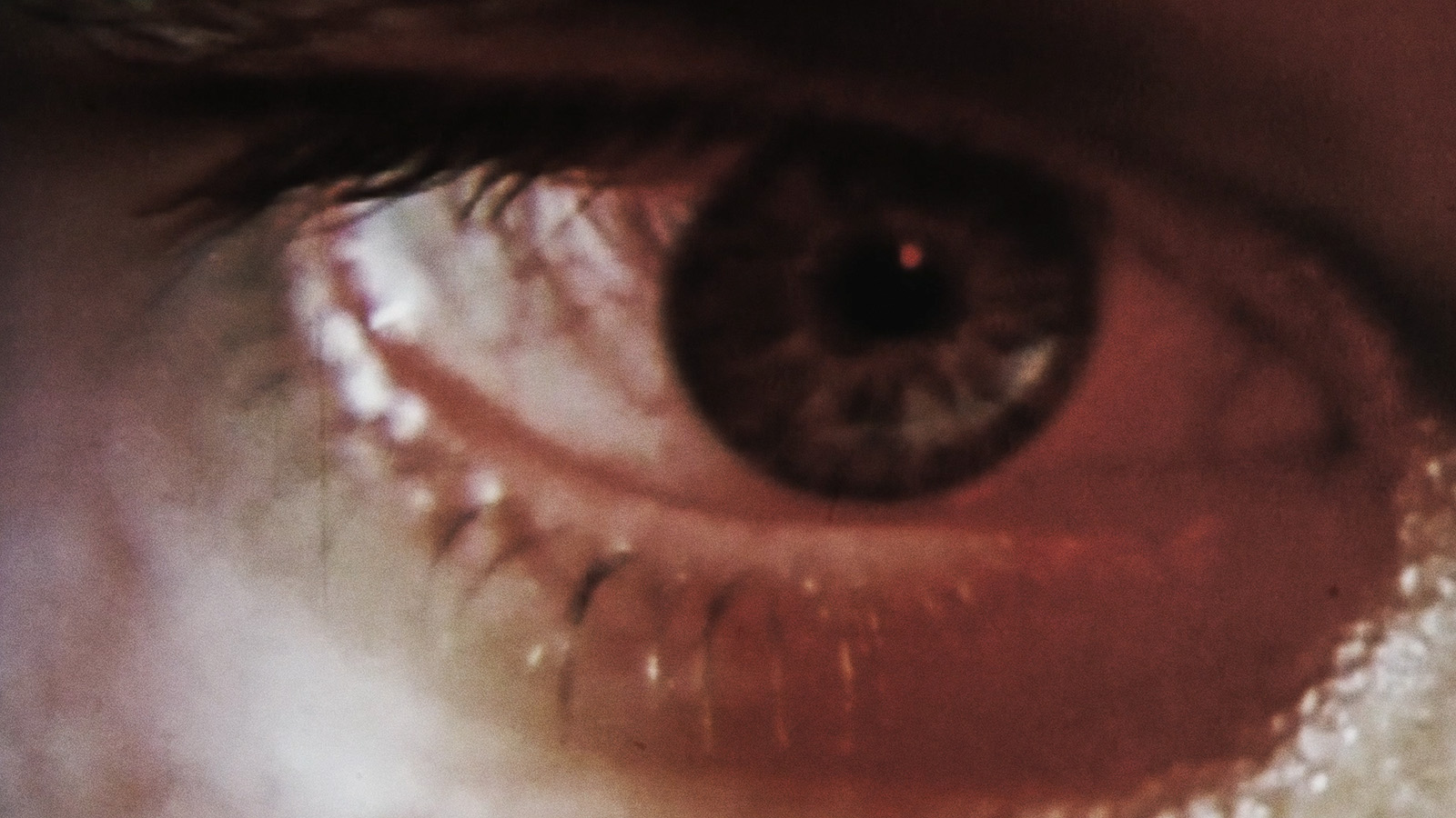 Evan Johnson and Guy Maddin Cine-Essays: Colours