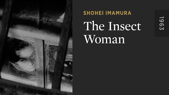 The Insect Woman