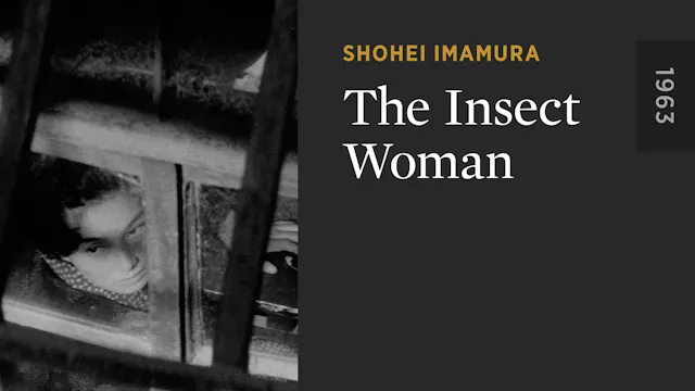 The Insect Woman