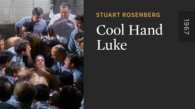 Cool Hand Luke