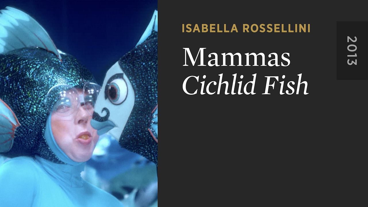 MAMMAS: Cichlid Fish