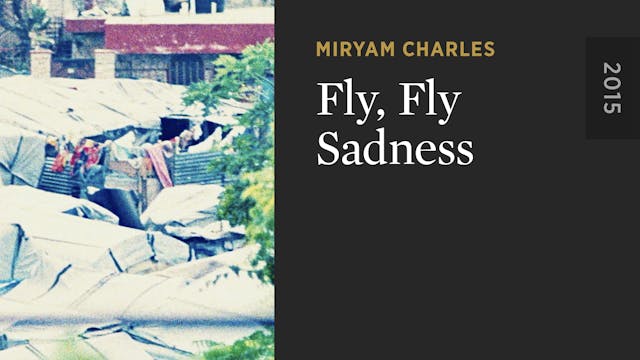 Fly, Fly Sadness