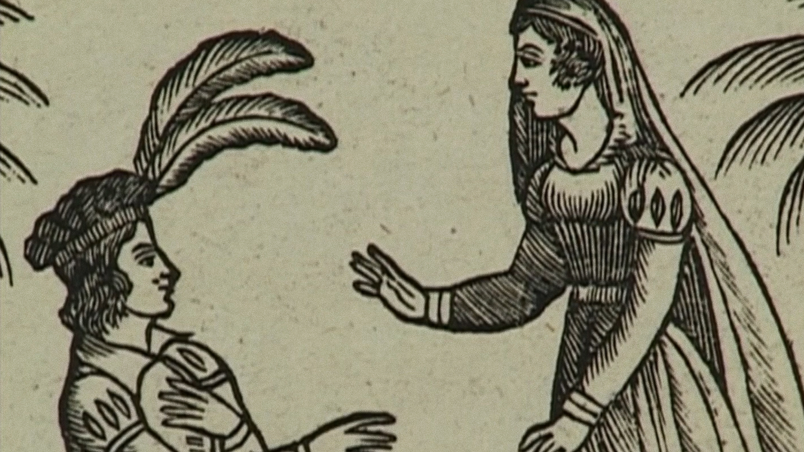 DONKEY SKIN Illustrated