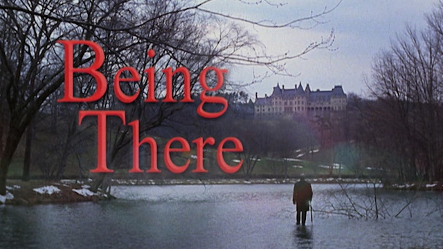 BEING THERE TV Spots