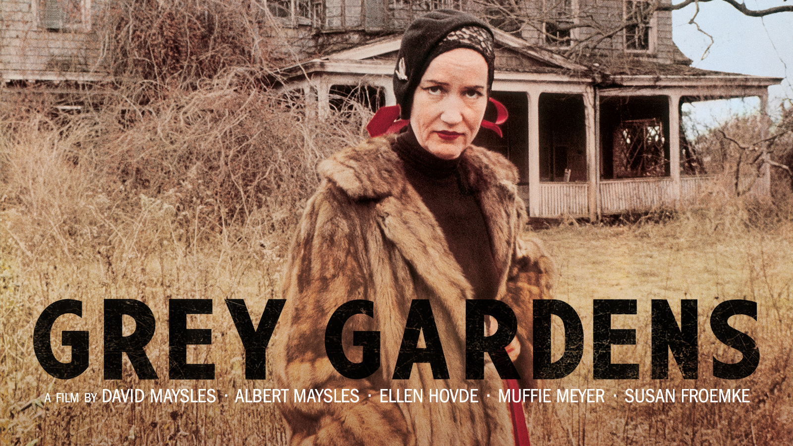 Grey Gardens The Criterion Channel
