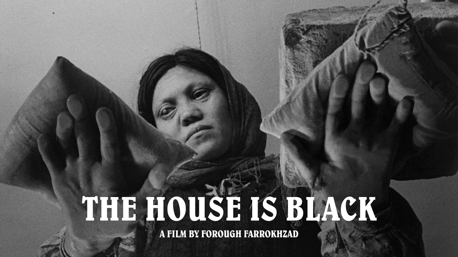 The House Is Black