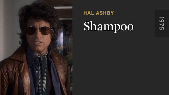 Shampoo