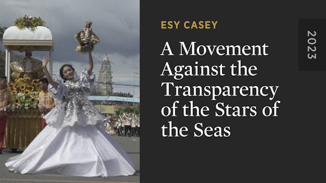 A Movement Against the Transparency o...