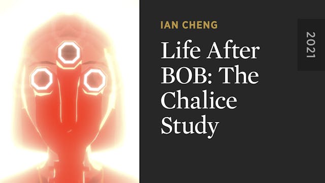 Life After BOB: The Chalice Study