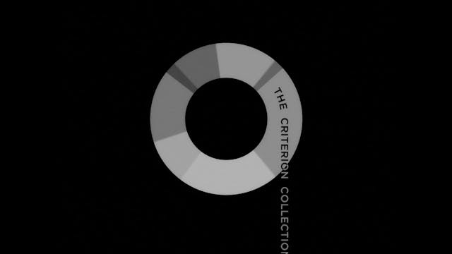 BORN IN FLAMES Commentary