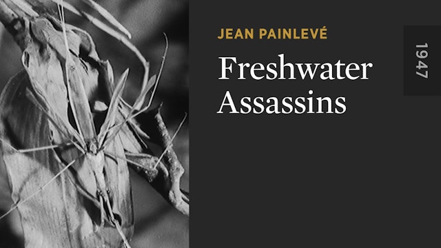 Freshwater Assassins