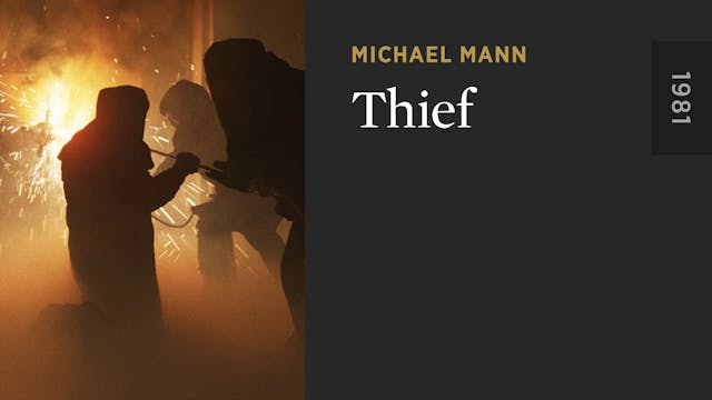 Thief