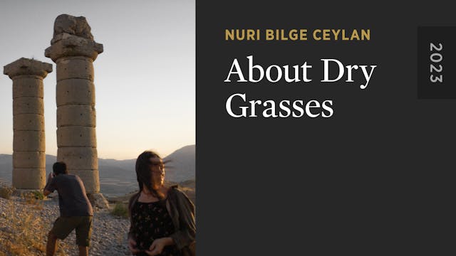 About Dry Grasses