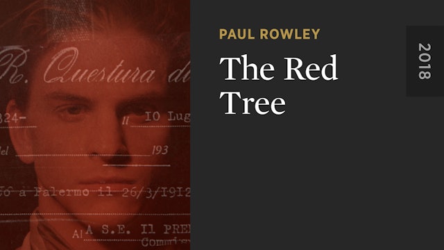 The Red Tree