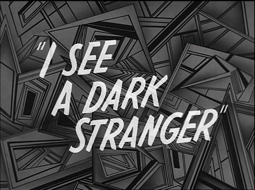 stranger in dark series