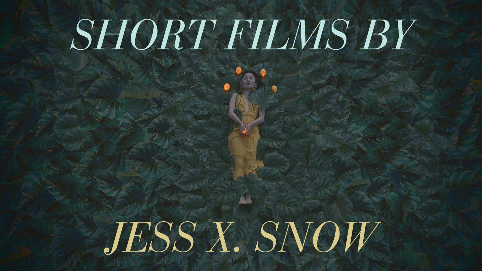 Short Films by Jess X. Snow