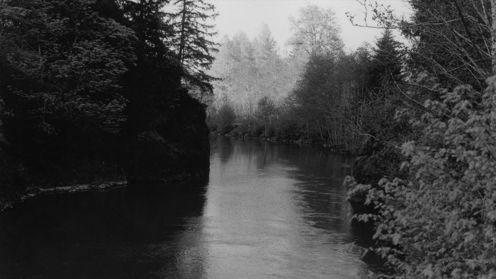 Reading Blake: Iggy Pop