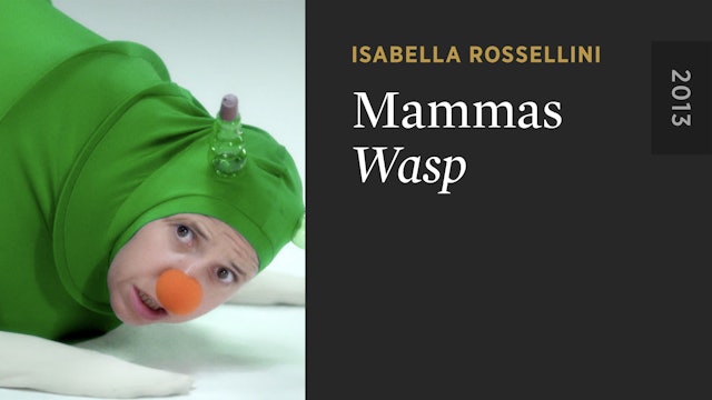 MAMMAS: Wasp