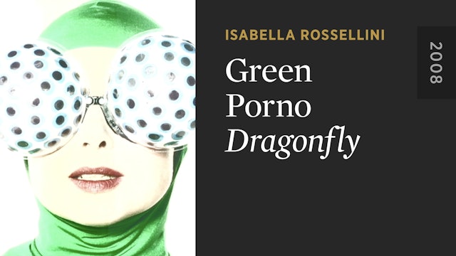GREEN PORNO: Dragonfly