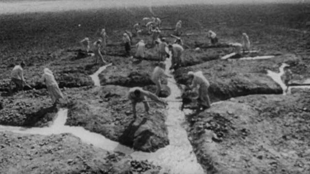 The Homeland of Electricity