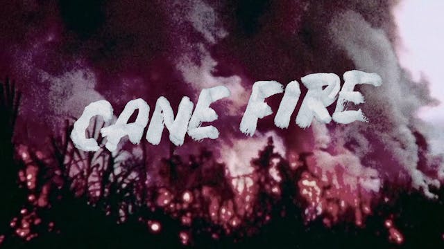 CANE FIRE Trailer