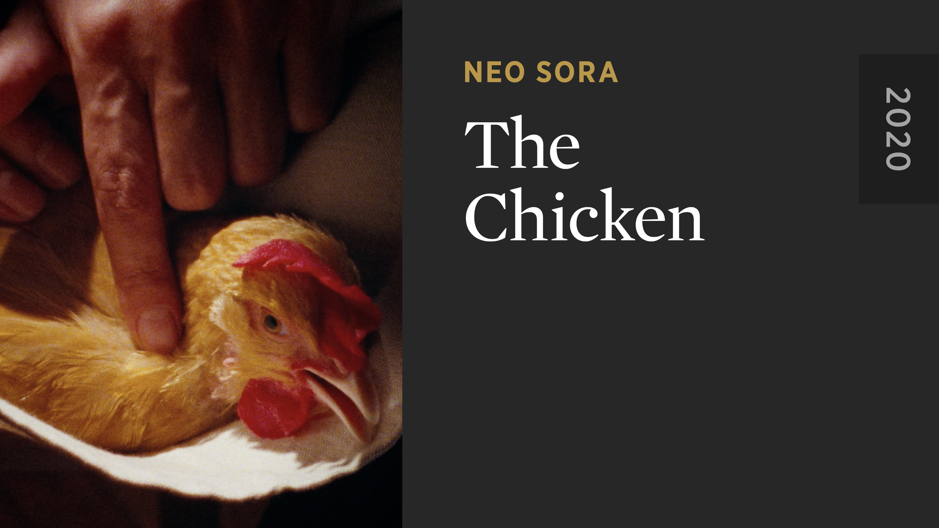 The Chicken
