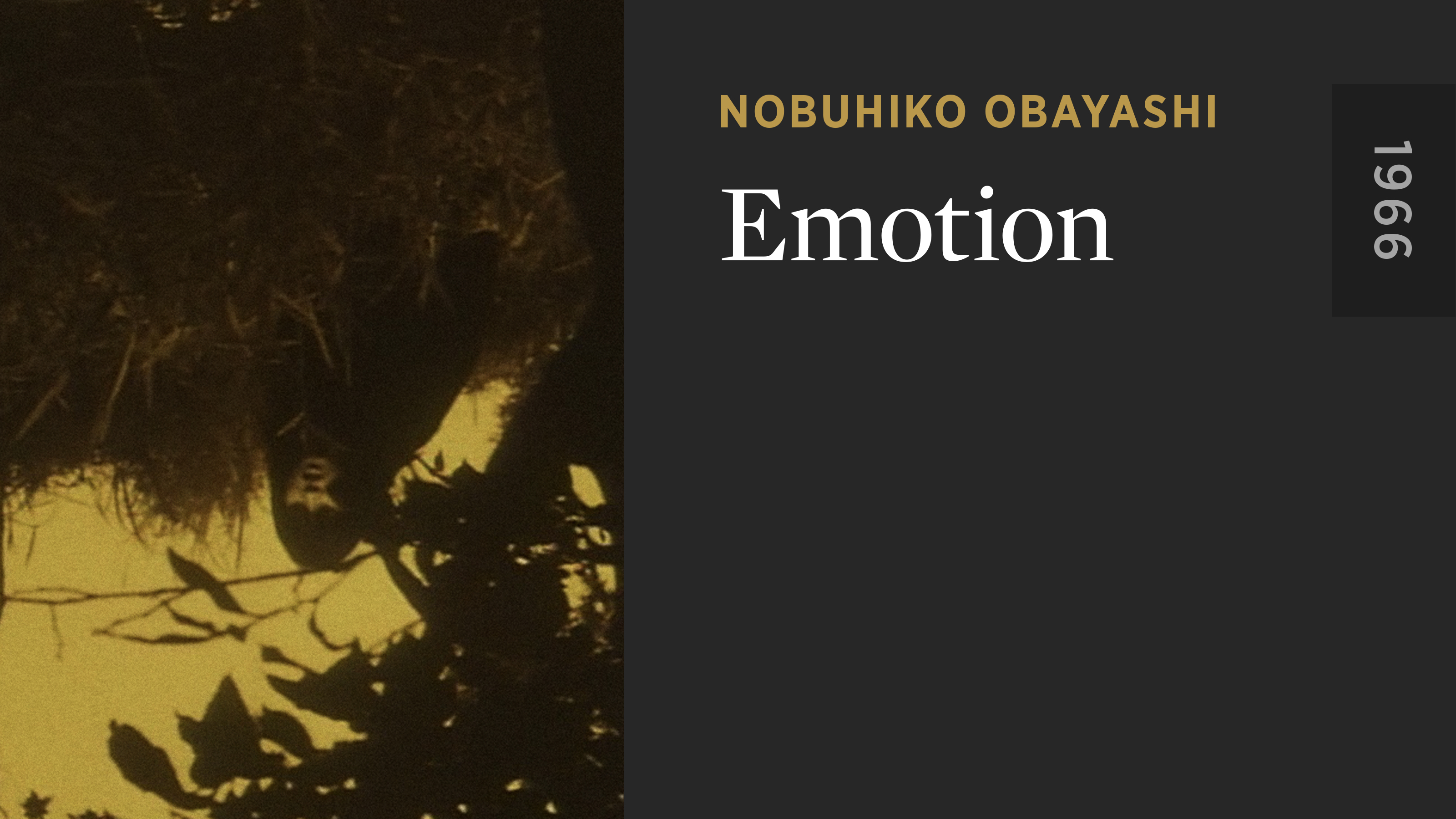 Emotion - The Criterion Channel