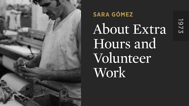 About Extra Hours and Volunteer Work