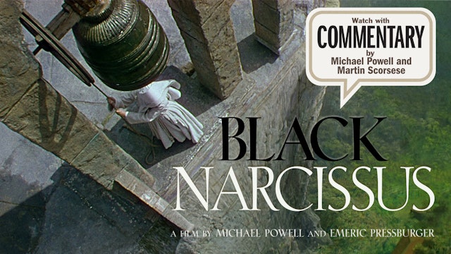 BLACK NARCISSUS Commentary