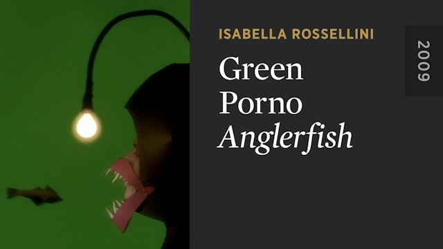 GREEN PORNO: Anglerfish