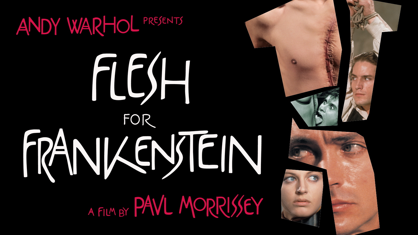 Flesh for Frankenstein