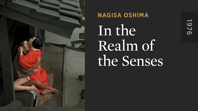 In the Realm of the Senses