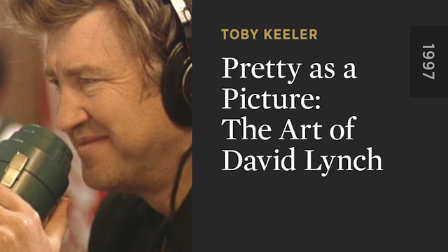 Pretty as a Picture: The Art of David...