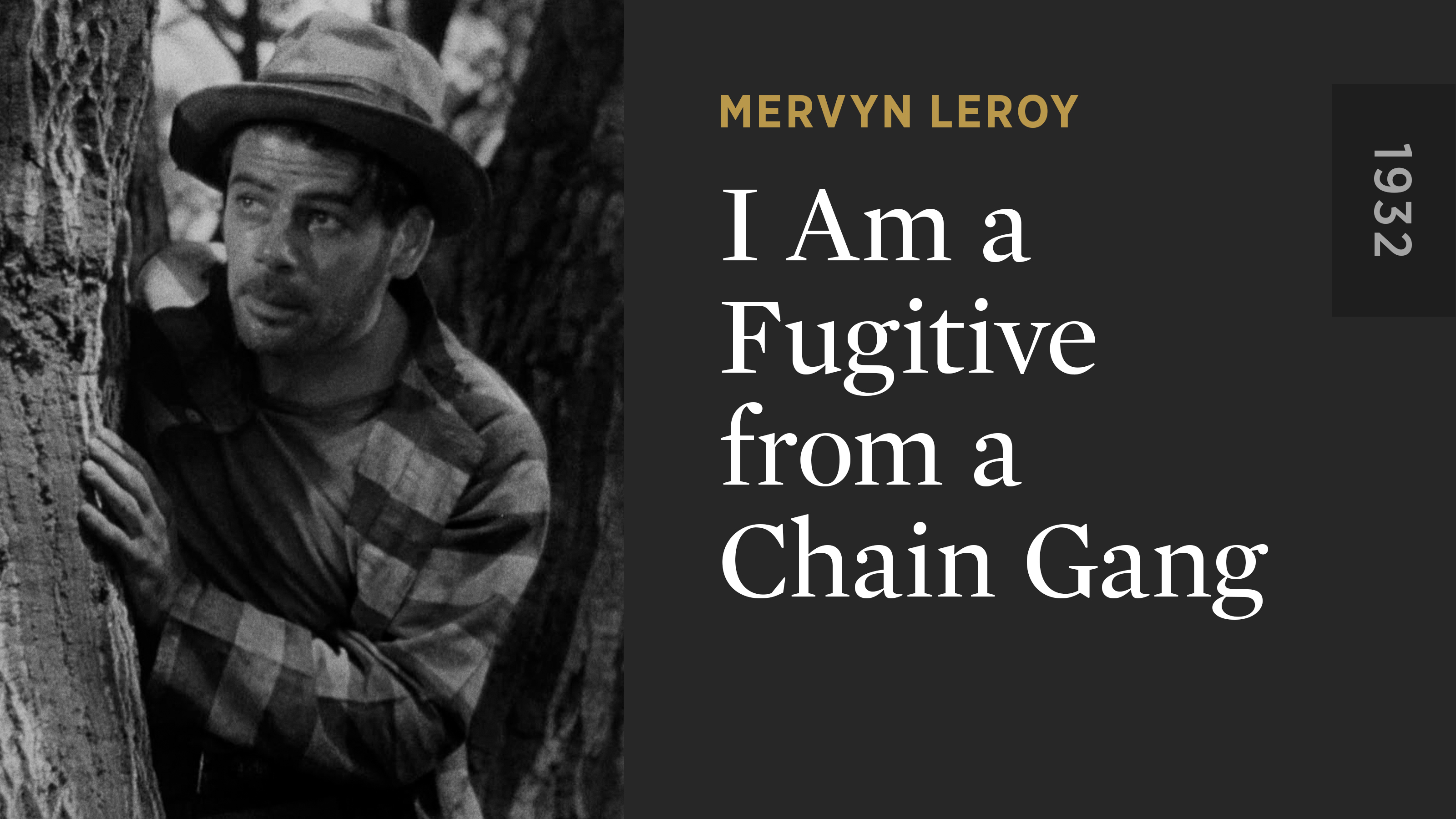 I Am a Fugitive from a Chain Gang