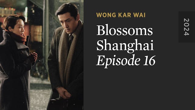 BLOSSOMS SHANGHAI Episode 16 Teaser