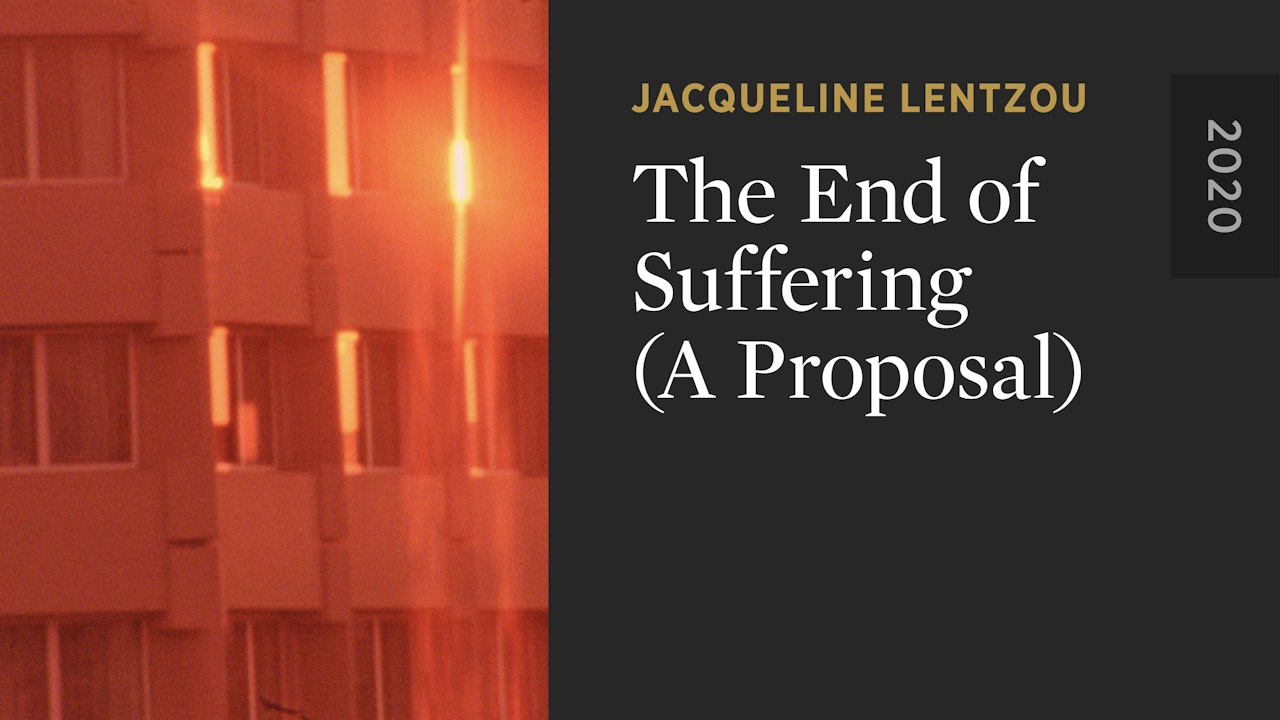The End of Suffering (A Proposal)