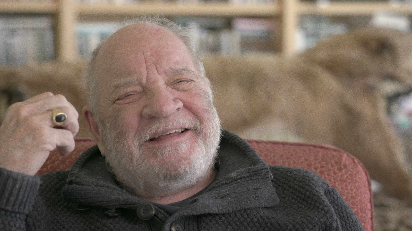 Paul Schrader on THE COMFORT OF STRANGERS