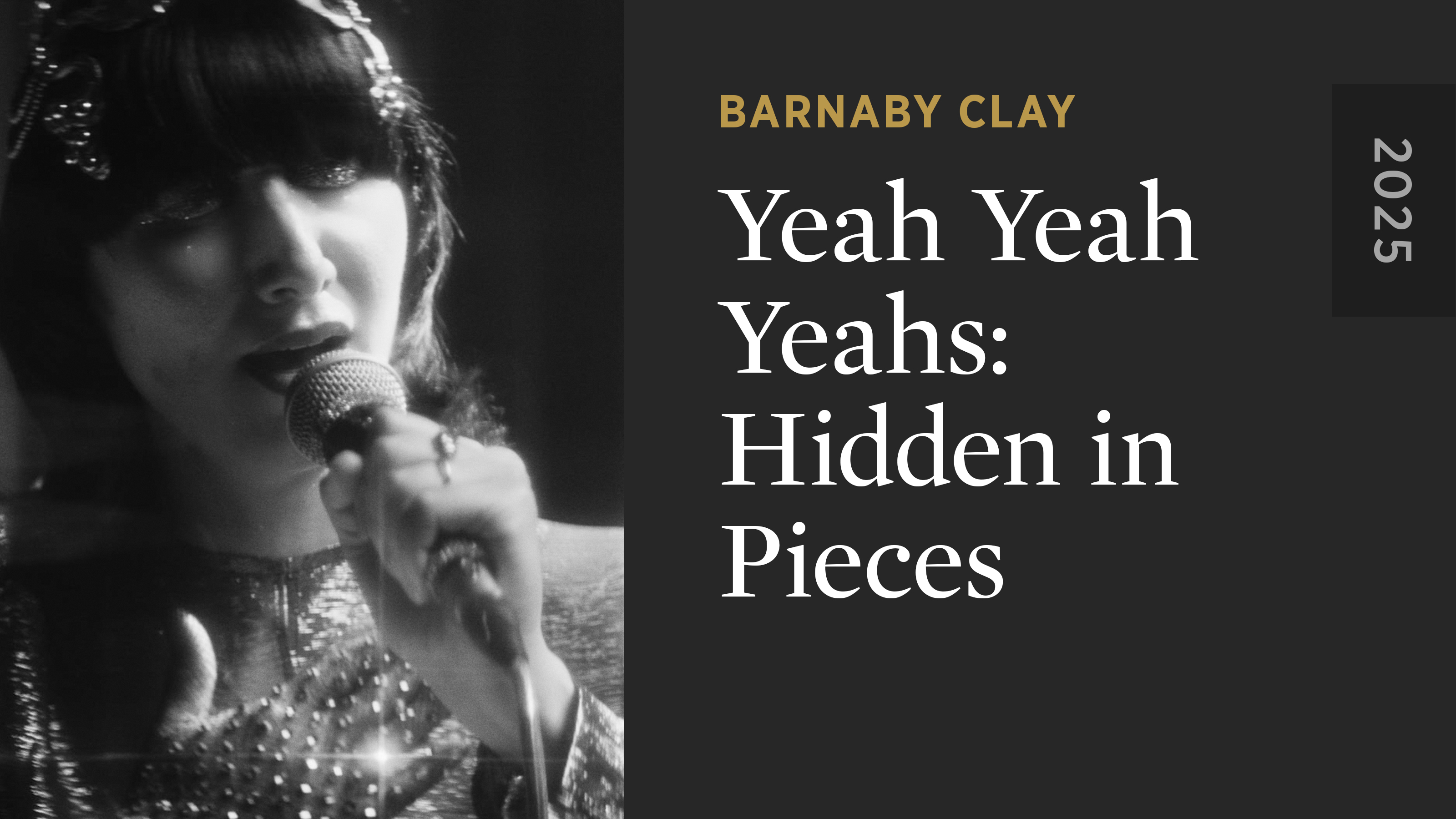 Yeah Yeah Yeahs: Hidden in Pieces
