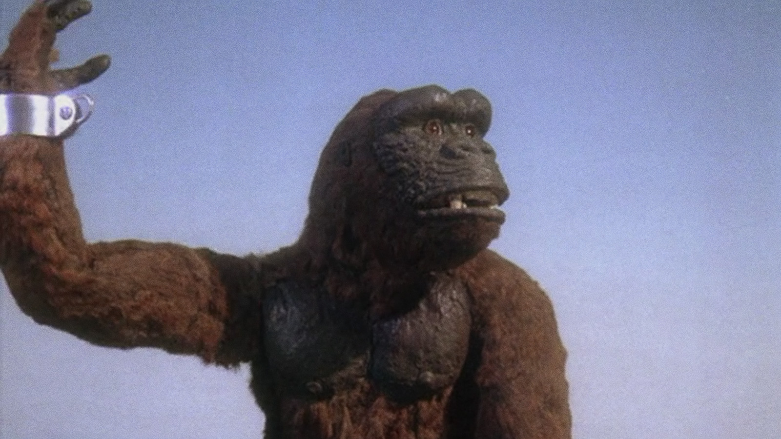 David Allen Appreciation: Commercial Test Footage