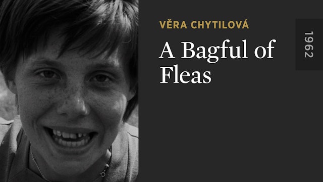 A Bagful of Fleas