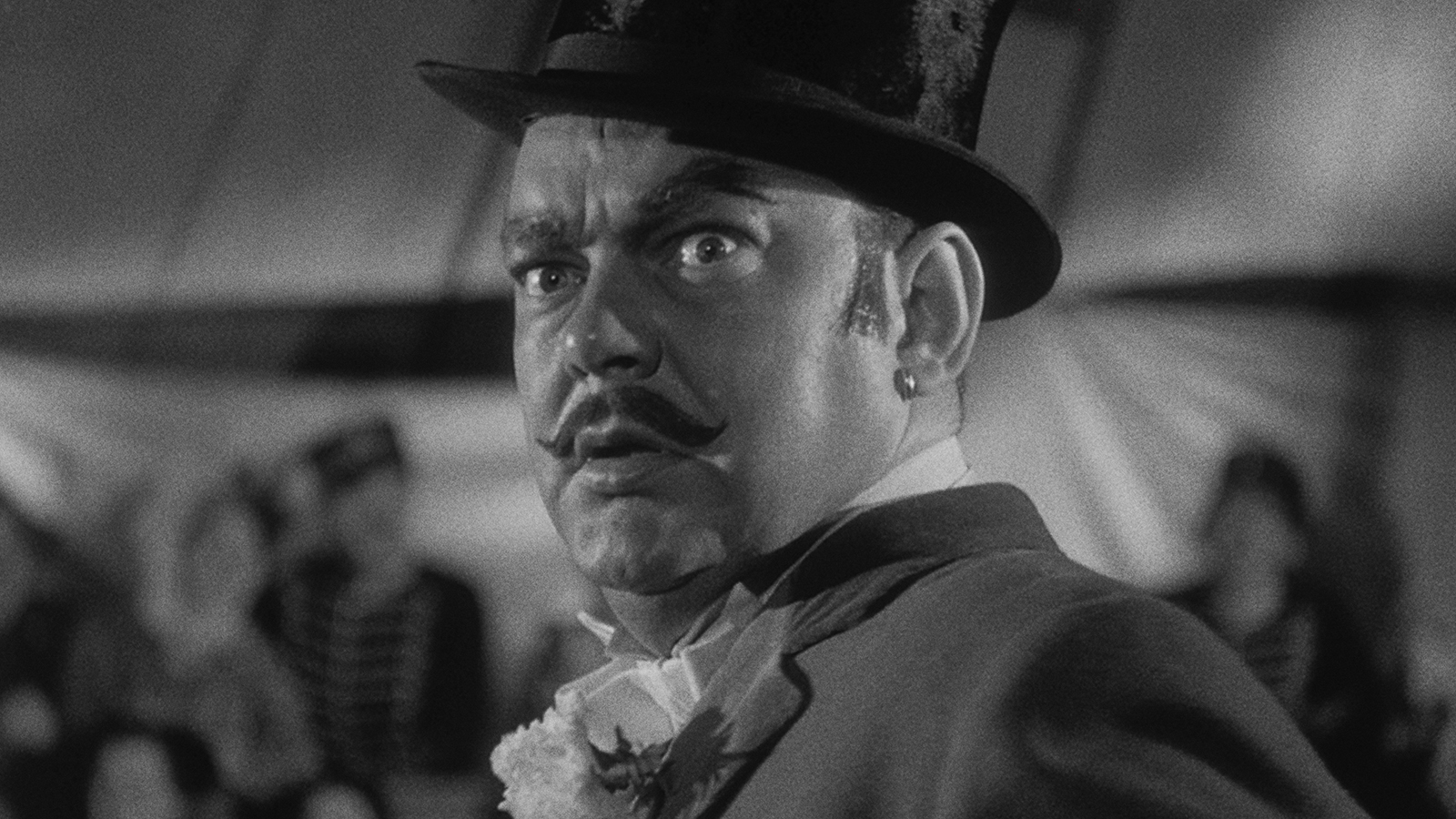 SAWDUST AND TINSEL Commentary