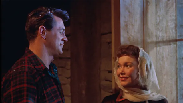 ALL THAT HEAVEN ALLOWS Commentary