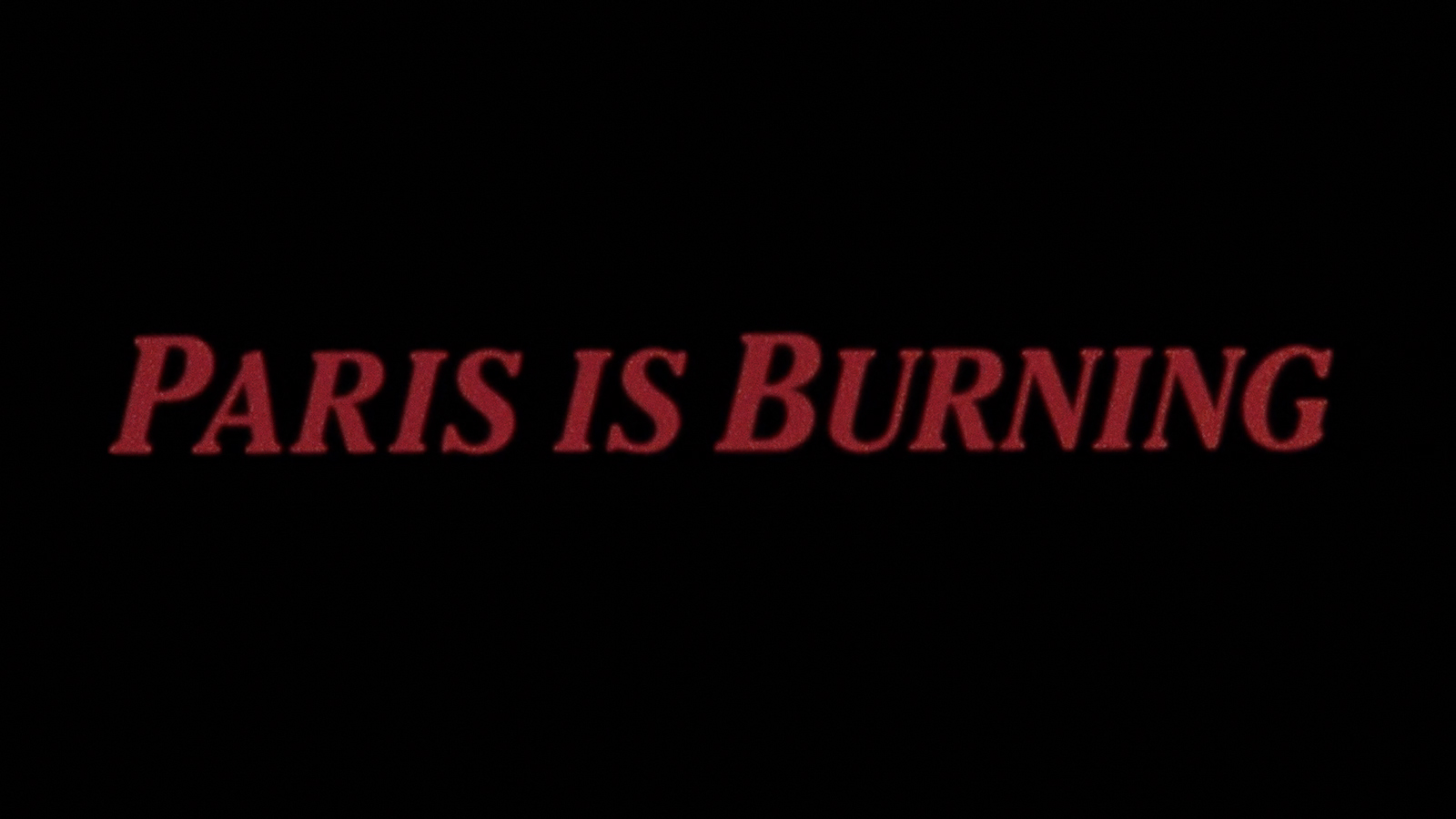 PARIS IS BURNING Trailer The Criterion Channel   A02c55e3 408b 4697 80d2 1d07bec71422 0d9fe689 