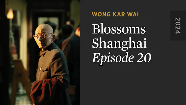 BLOSSOMS SHANGHAI Episode 20 Teaser